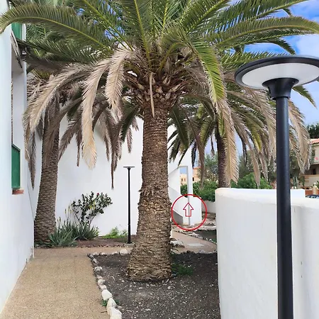 Casa Del Mar